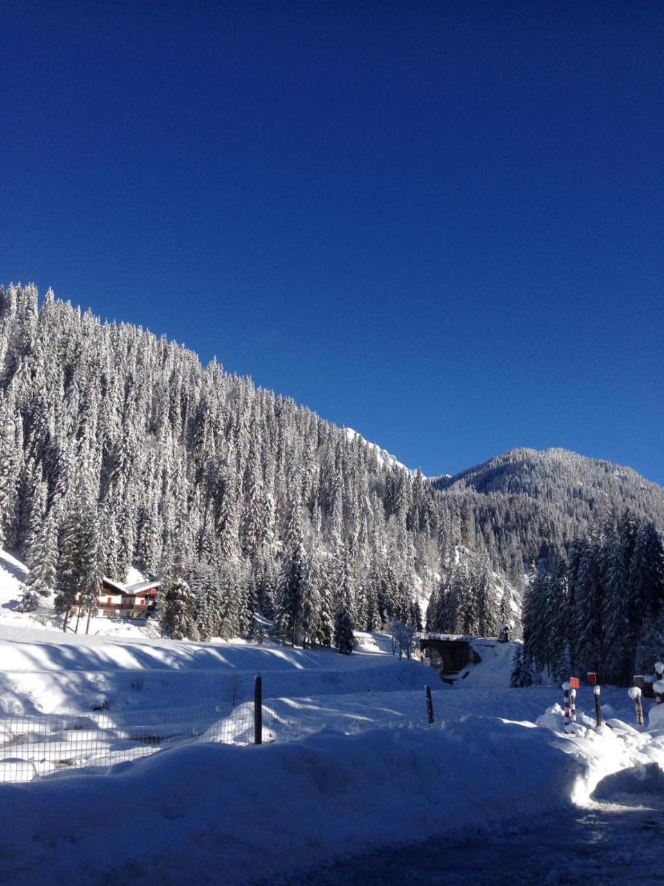 Eirl Dolomites Retreat Sappada Exterior foto